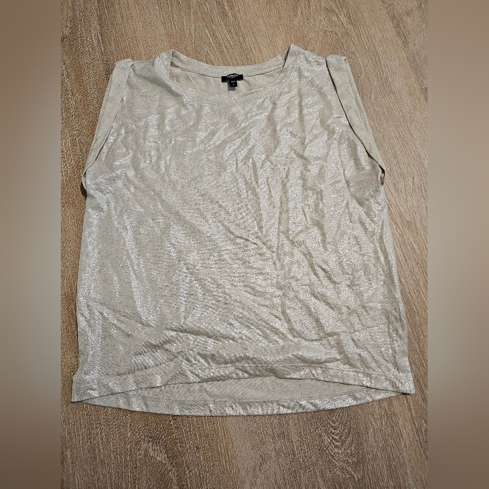 Express Skimking Shimmering Beige Top